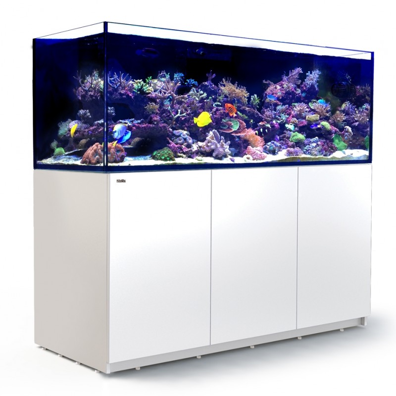 Red Sea Aquariums